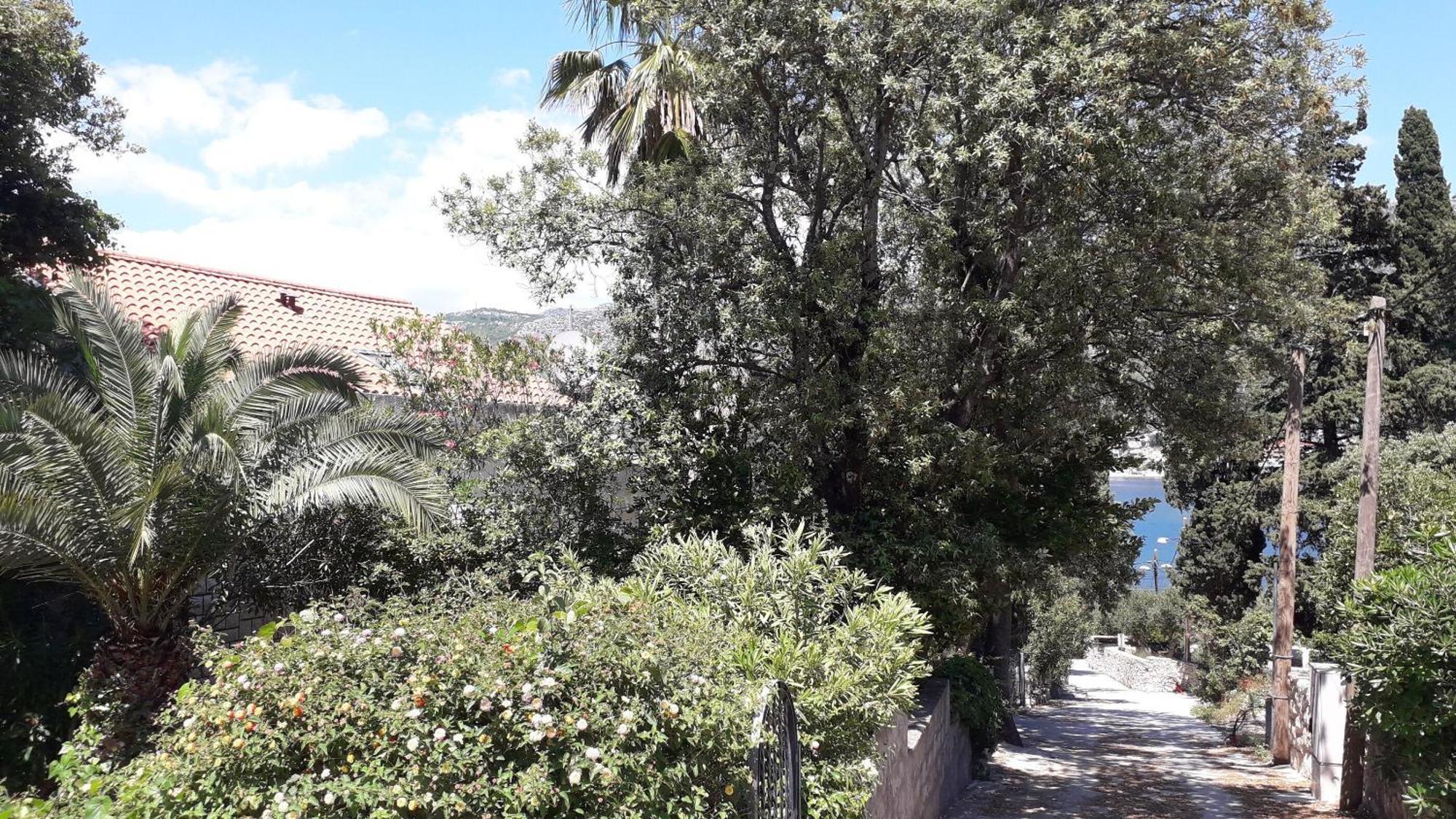 Apartments Marija - 50M From Beach Zaton (Dubrovnik-Neretva) Exterior foto